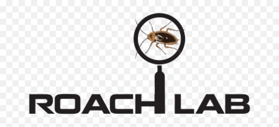 Resources U2014 Roach Lab Png Cockroach Transparent