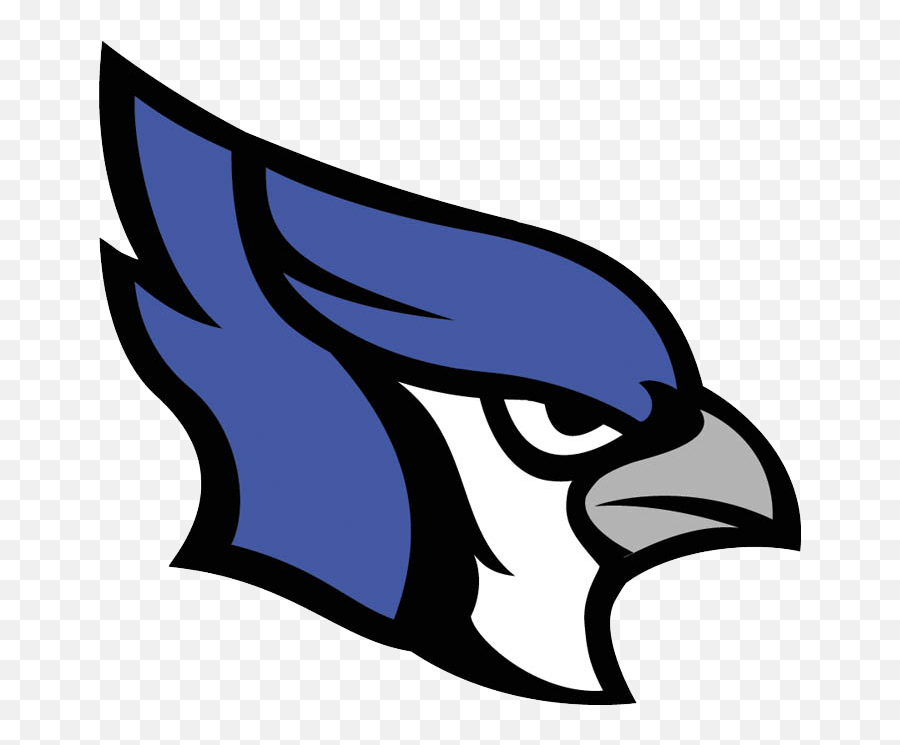 Library Of Bluejay Basketball Clipart Freeuse Download Png - Marshfield High School Mo,Blue Jay Png