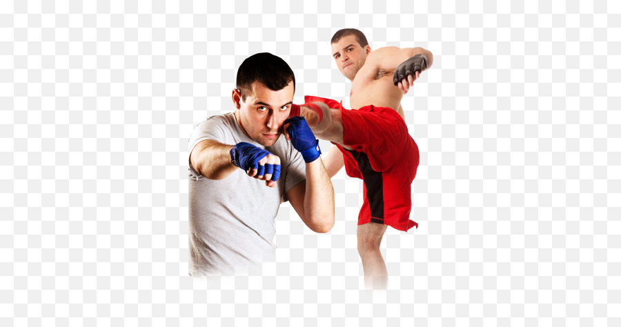 Mixed Martial Arts Png High - Mixed Martial Images Png,Martial Arts Png