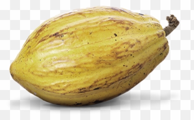Cacao Png - One One Cocoa Full Basket,Cacao Png