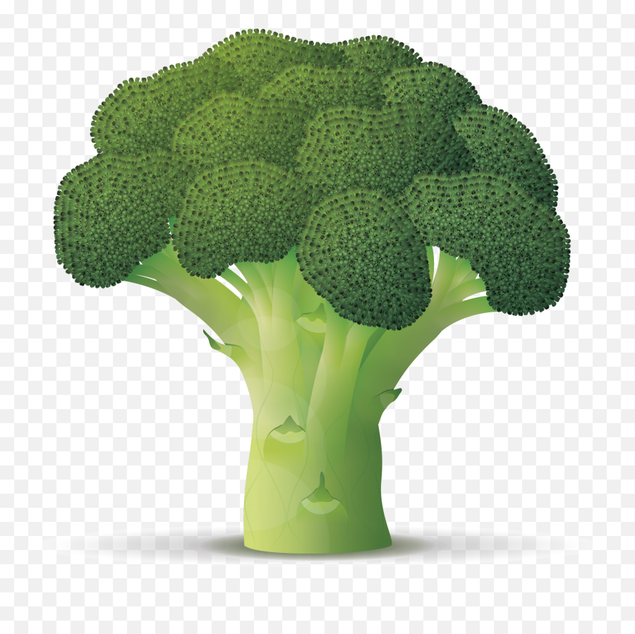 Download Brocoli - Brócoli Vector Png,Brocoli Png