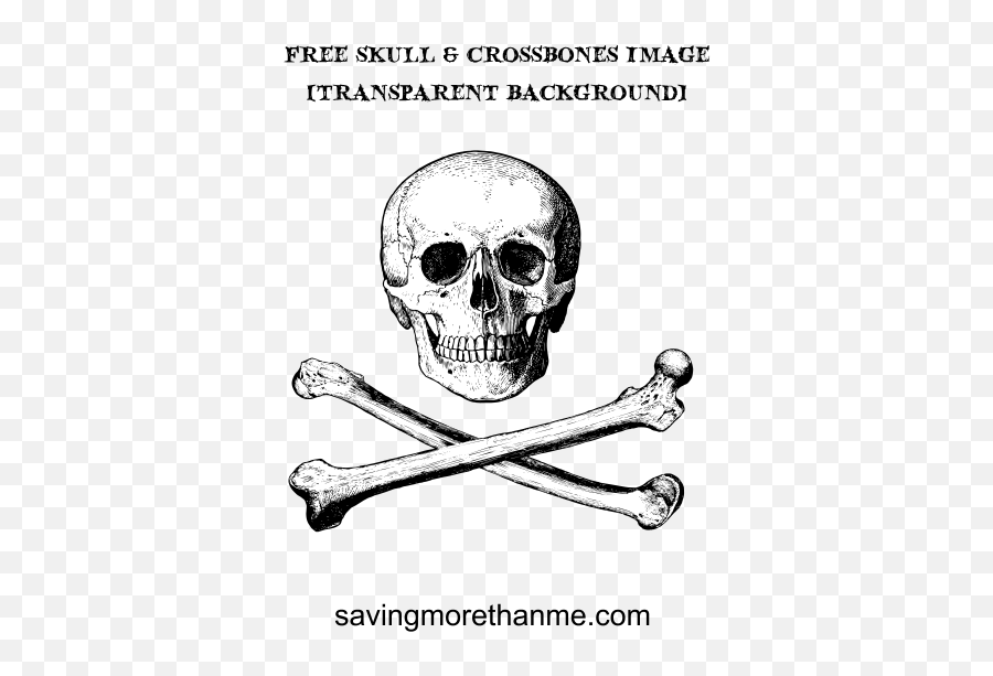Free Skull And Crossbones Image Transparent Background - Skull Front Png,Skull And Crossbones Transparent Background