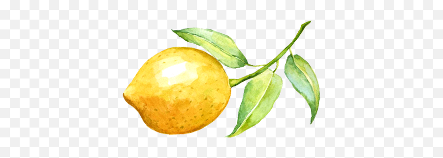 Lemon Watercolor - Watercolor Lemon Transparent Background Png,Lemon Transparent Background