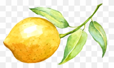 Lemon Watercolor - Watercolor Lemon Transparent Background Png,Lemon Transparent Background