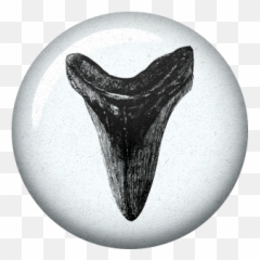 Coastal Spring Shark Tooth Flair Graphic By Jessica Dunn - Apparent Motion Of The Sun Png,Shark Teeth Png