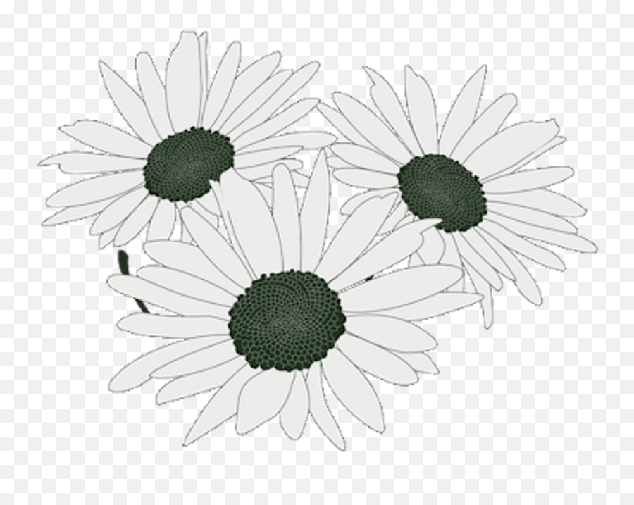 Free Free 256 Vector Daisy Flower Svg SVG PNG EPS DXF File