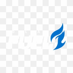 Overwatch League Logo U2013 Zipchair Gaming - Dallas Fuel Logo Png,Overwatch Logo Transparent