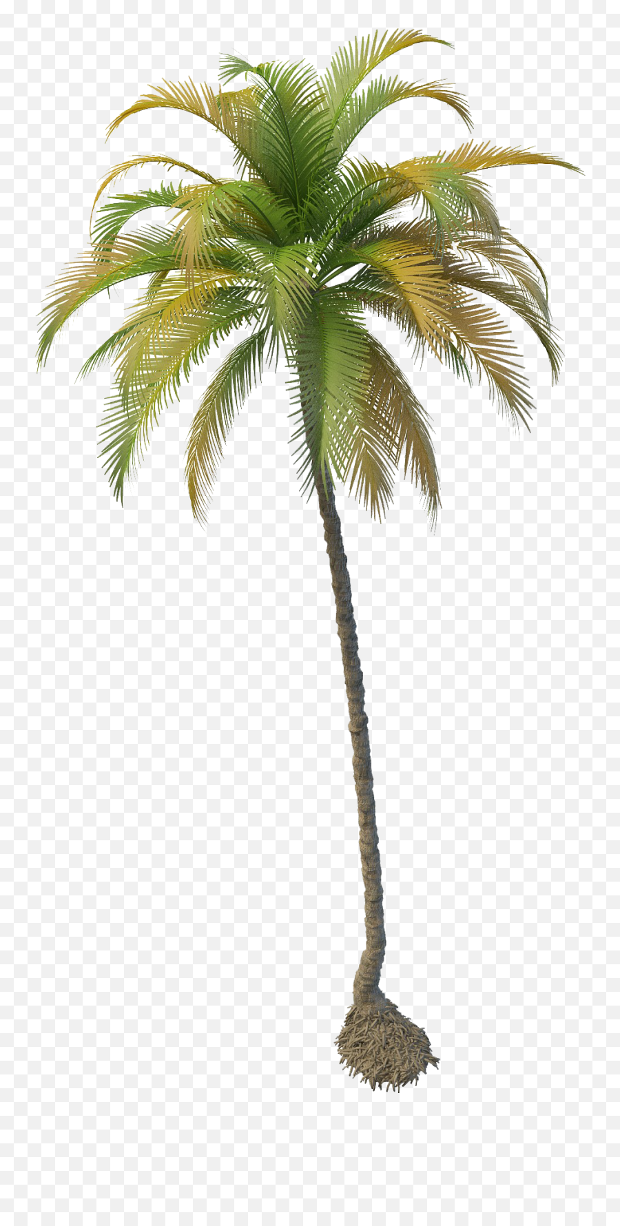Coconut Tree Png File Mart - Transparent Coconut Tree Png,Palm Tree Logo Png