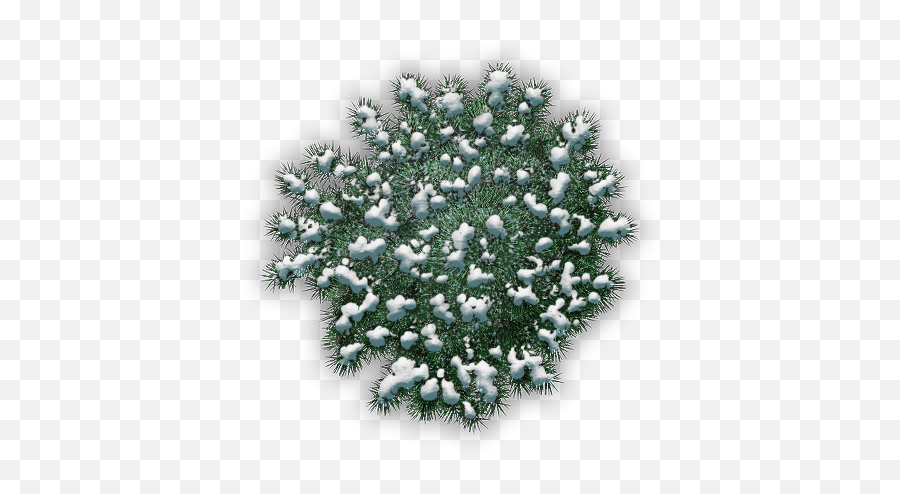 Index Of - Sabal Minor Png,Snowy Trees Png