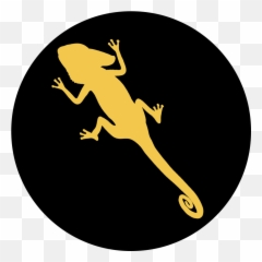 Ln - CC Chameleon Club Join Now To Avail Special Benefits Amphibians png
