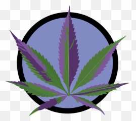 Wax Wednesday 3gu0027s For 55 - Green Blue Yellow Leaf png