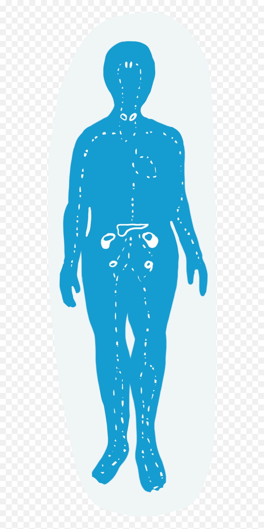 What Is Hyperbarics Holistic - Transparent Endocrine System Png,Endocrine Icon