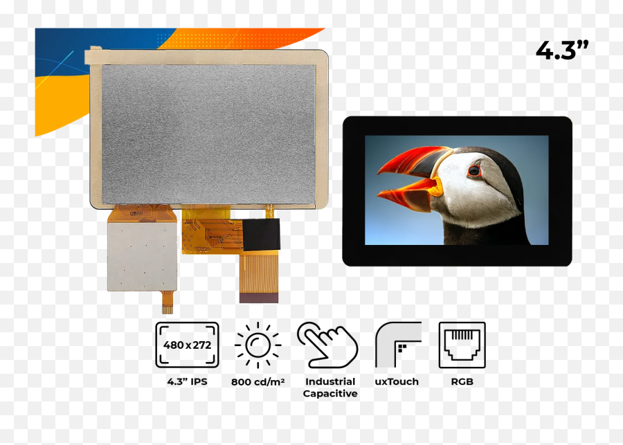 Rvt43hltnwc00 - Computer Monitor Png,Puffin Icon
