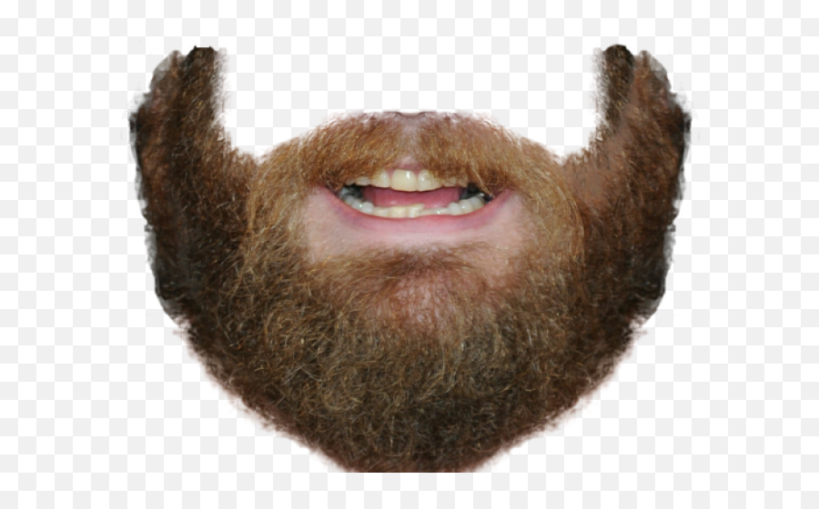 Png Beard - Copy And Paste Beard,Beard Transparent Background