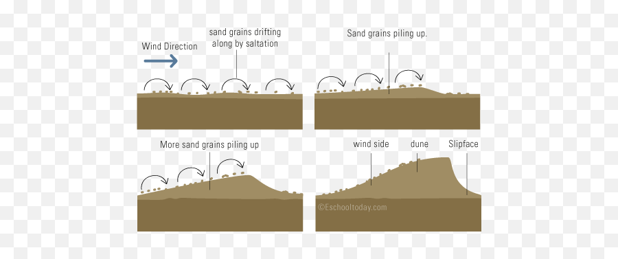 What Is A Sand Dune Landform - Formation Of Sand Dunes Png,Sand Dunes Png