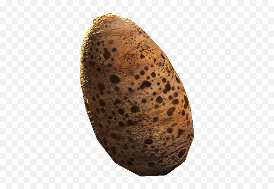 Deathclaw Egg Fallout 76 Wiki Fandom - Rock Png,Russian Icon Egg