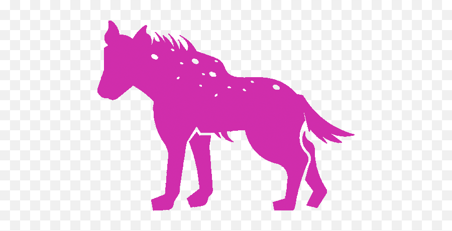 Hyena Digital U2013 Calgary Boutique Marketing Agency - Hyena Icon Png,Hyena Png