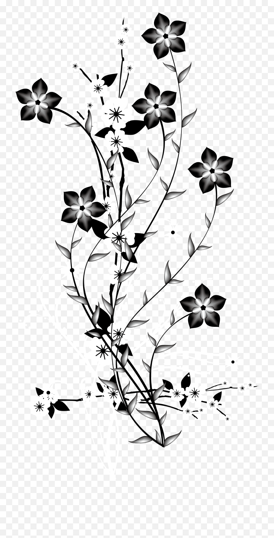 China Japan Flower Euclidean Vector - Transparent Background Black And White Flower Png,Black And White Flower Png