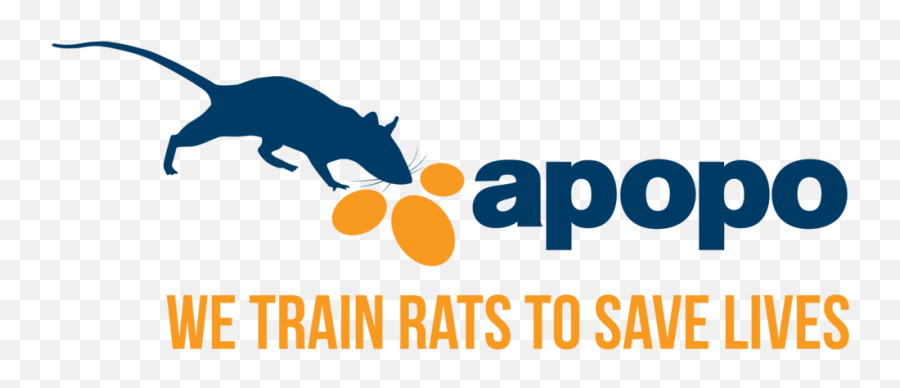 Twist3d With Apopo Herorats U2014 Karmafy - Apopo Logo Png,Rats Png