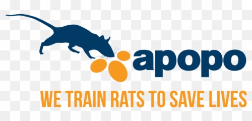 Twist3d With Apopo Herorats U2014 Karmafy - Apopo Logo Png,Rats Png