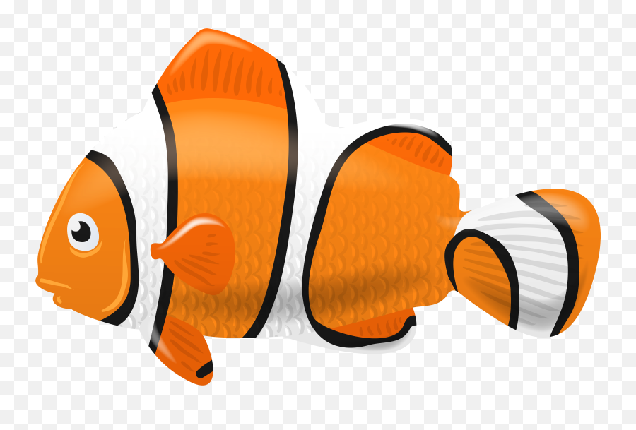 Stock Fish Png Files - Clownfish Clipart Png,Fish Png