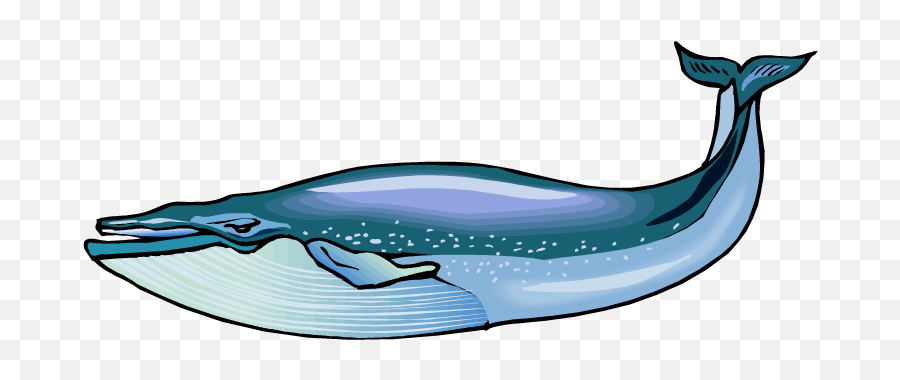 Blue Whale Clipart - Biggest Dinosaur That Ever Lived Png,Humpback Whale Png