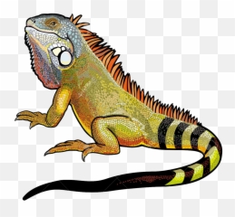 Iguana Png File Vector Clipart - Transparent Background