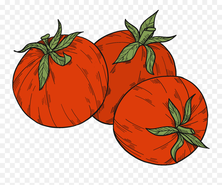 Vegetables Clipart Free Download In Png Or Vector Format - Tomato,Tomato Slice Png