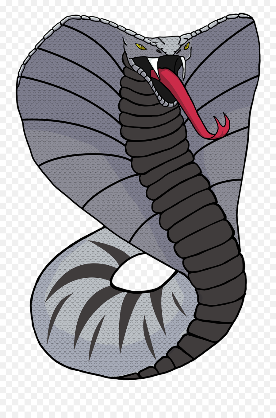 Snake Cobra Reptile - Free Image On Pixabay Png,Cobra Png