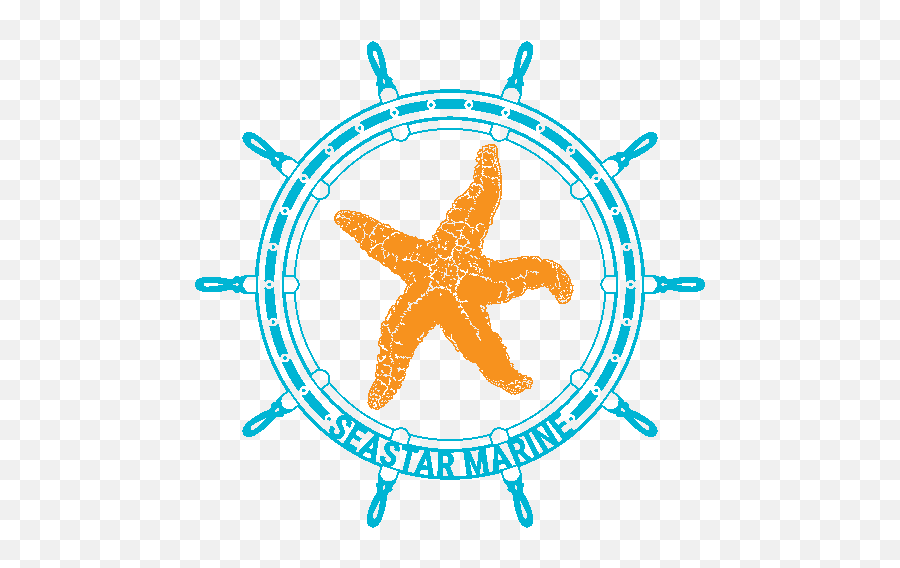 Stickers - Orange Seastar Marine Tm Mri Magnet Shim Coil Png,Sea Star Png