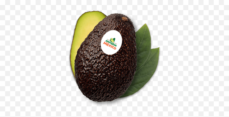 Hass Avocado - Avocados From Mexico Hass Avocado From Mexico Png,Avacado Png