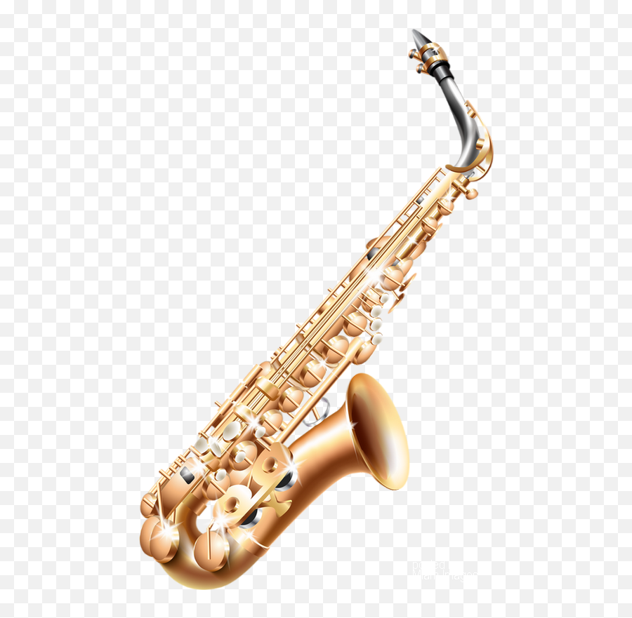 Download Saxophone Png Tube Instrument De Musique - Woodwind Instruments Family,Saxaphone Png