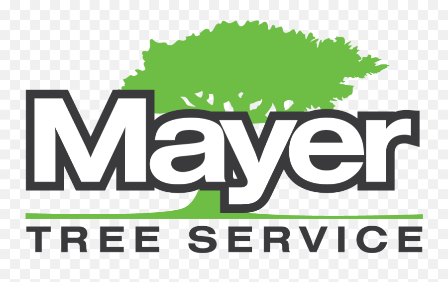 Mayer - Kelly Services Png,Tree Logo