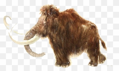 African Elephant Stone Age Story Tattoo - Cartoon Mamoth In Transparent Background Png,Mammoth Png