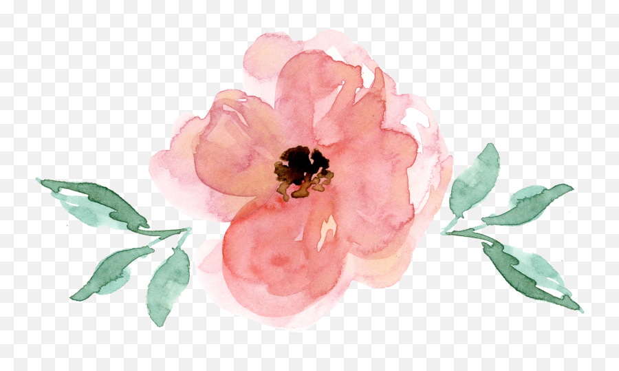 Watercolor Floral Svg Free - Rose Png,Drake And Josh Transparent