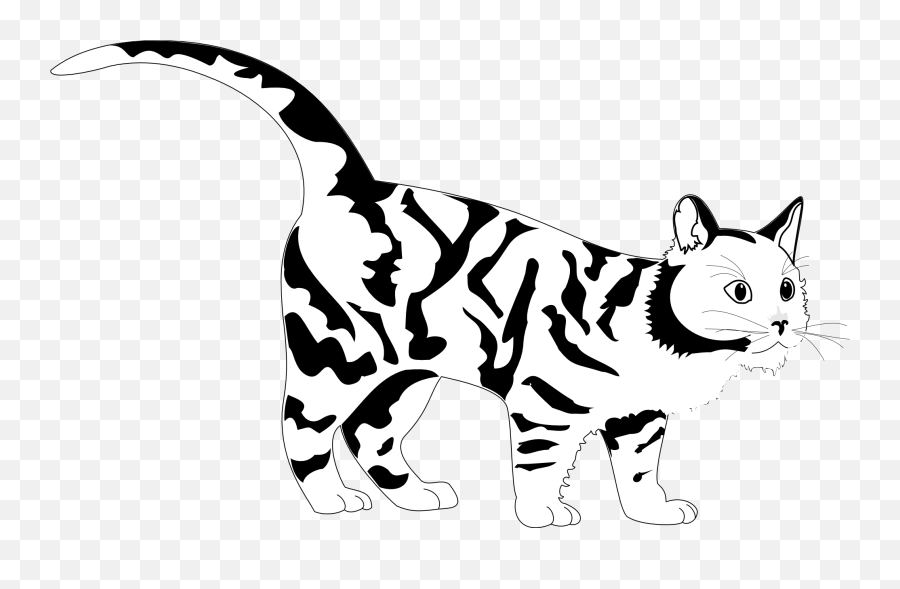 Tiger Cat Black White Line Art Coloring - Black And White Cat Clipart Png,Cat Lineart Transparent