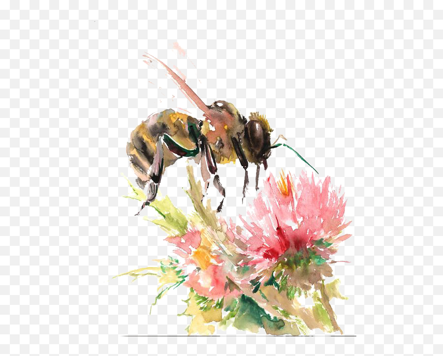 Bees Transparent Watercolor - Honey Bee On Flower Drawing Bee And Flower Watercolor Png,Transparent Flower Drawing