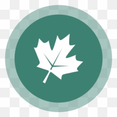 Forest City Diagnostic Imaging - Language png