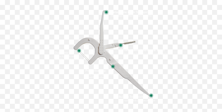 Home Floss - Pickbrush Png,Toothpick Png