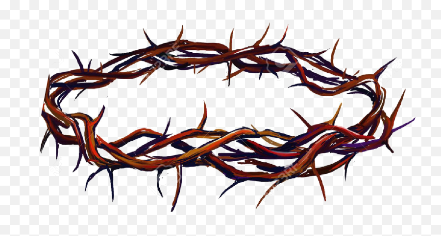 Crown Of Thorns Png Transparent Image With Background