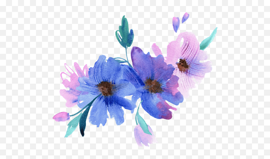 Elenaefremova U2013 Canva - Poppy Anemone Png,Flower Icon Tumblr