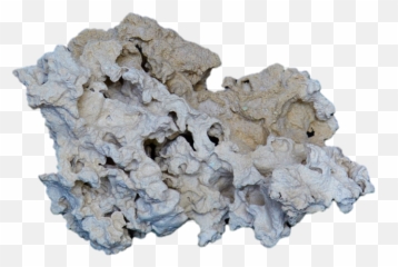 Product Range Of 3d Eco Marine Reef Rocks - Beige png