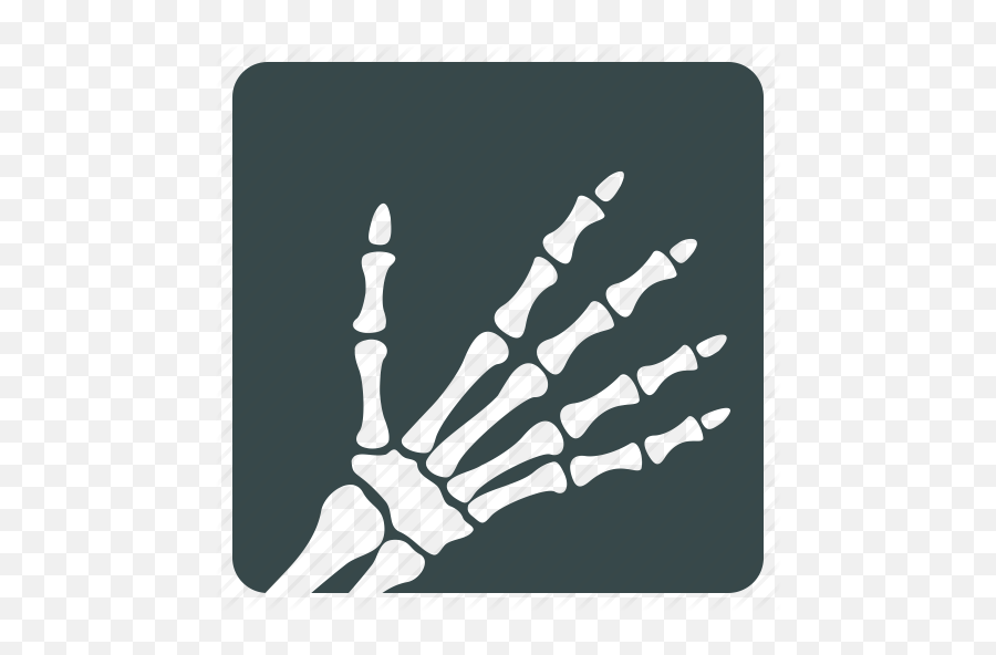 X Ray Icon - X Ray Images Icon Png,X Ray Png