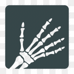 X Ray Icon - Images png