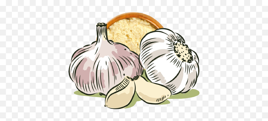 Blendz - Cara Mengusir Serangga Dengan Bawang Putih Png,Garlic Icon