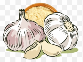 Blendz - Cara Mengusir Serangga Dengan Bawang Putih png