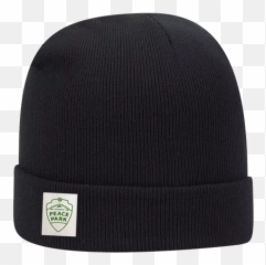Mens Hats U0026 Beanies U2013 Shop Camp Woodward - Solid png