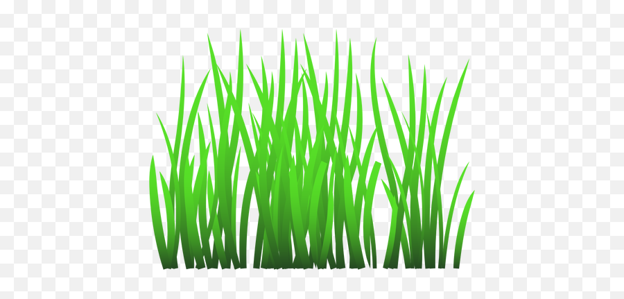 Green Grass Illustration - Transparent Png U0026 Svg Vector File Imagenes De Hierba Verde,Ornamental Grass Png