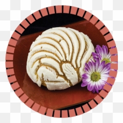 Vanilla Concha - Orejas De Chocolate Png,Concha Png