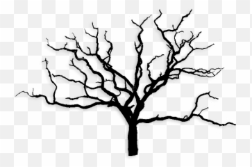 Arbre Sans Feuille Png Images - Black And White Dead Trees,Sans Png